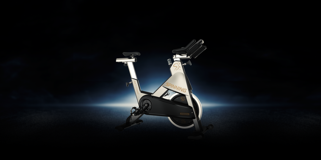 Bicicleta Spinning Profesional NXT Power